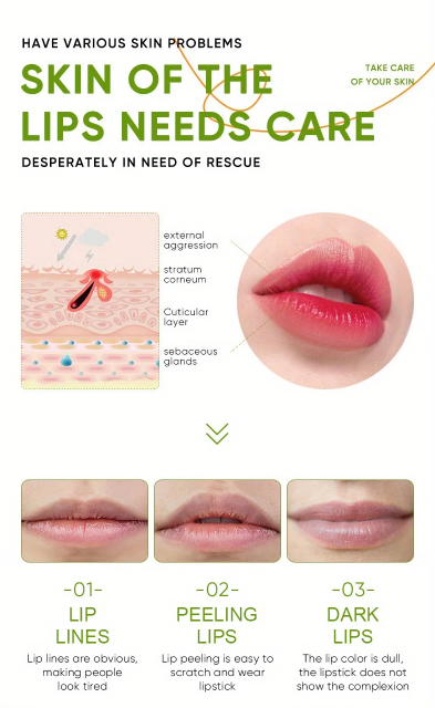 Hydrating Lip Balm with Aloe – Nourishing, Moisturizing & Crack Repair for Dry Lips | Gentle & Non-Irritating Formula