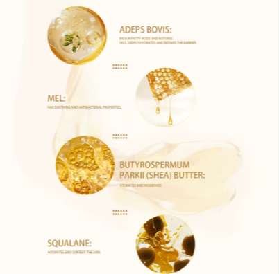Beef Tallow Lip Balm with Honey, Shea Butter & Natural Oils – Deeply Moisturizing Lip Care