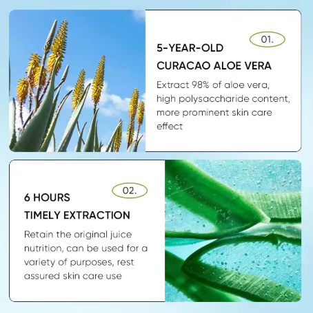 Aloe Lip Balm – Nourishing, Hydrating & Repairing Care