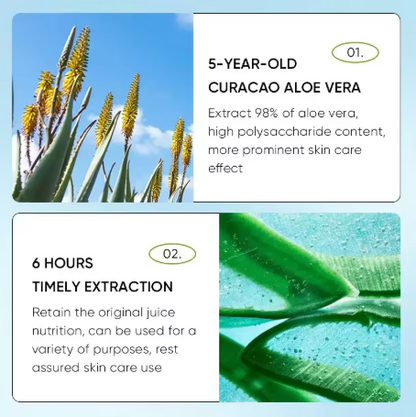 Aloe Lip Balm – Nourishing, Hydrating & Repairing Care