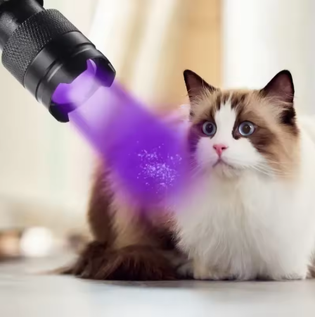395nm UV Flashlight – Pet Urine & Stain Detector Ultraviolet Torch